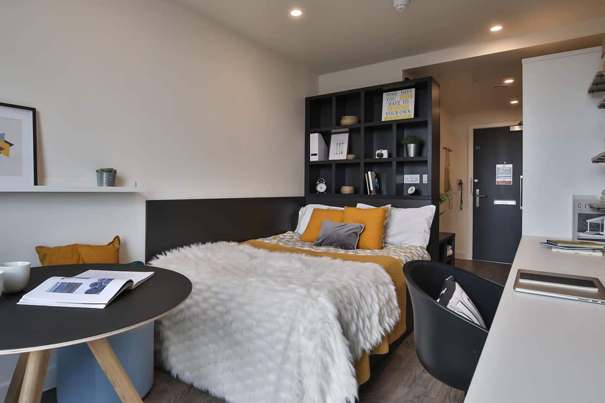 Bronze Studio Mid Level